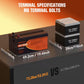 48V 100AH LiFePO4 Battery