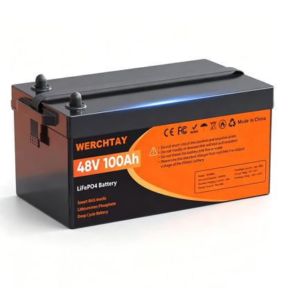 48V 100AH LiFePO4 Battery