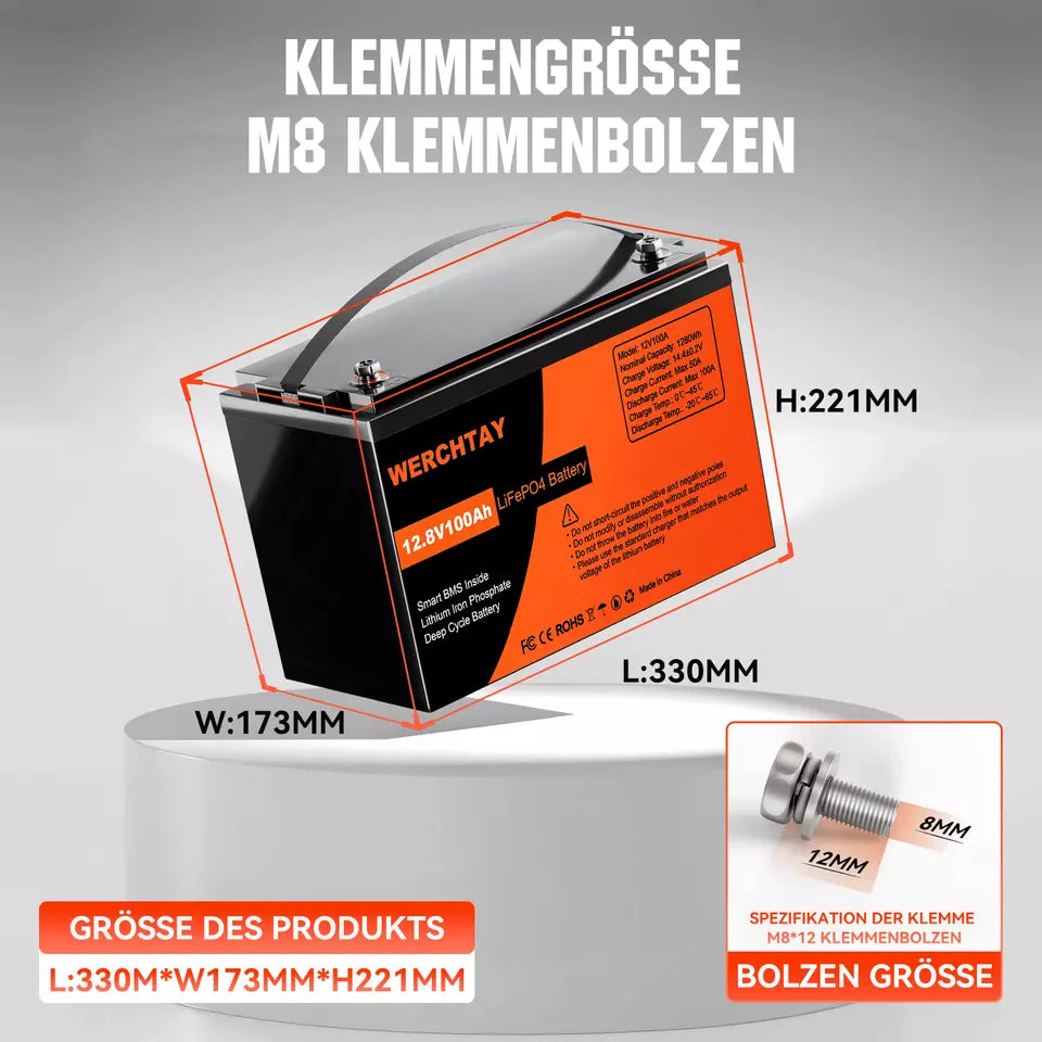 12,8 V 1280 Wh/100 Ah LiFePO4-Batterie mit BMS-Schutz