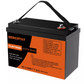 12,8 V 1280 Wh/100 Ah LiFePO4-Batterie mit BMS-Schutz